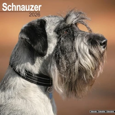 Afbeelding van Schnauzer Kalender 2026