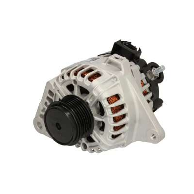 Afbeelding van Dynamo / Alternator HC CARGO 116721