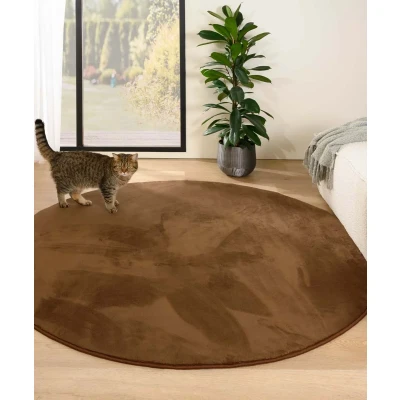 Afbeelding van Rond Zacht Vloerkleed Plush Bruin 200 Cm