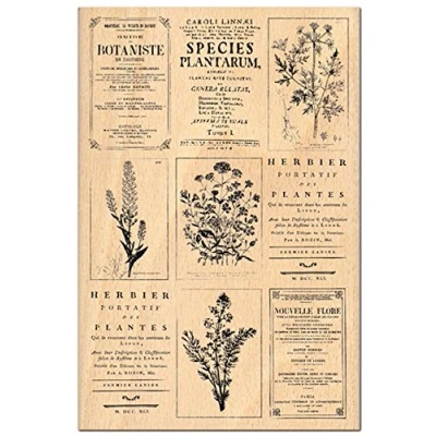 Afbeelding van Florilèges Design FHA112037 Scrapbooking Herbarier stempel, 15 x 10 2,5 cm, beige