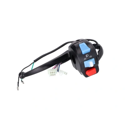 Afbeelding van Coming Soon Flasher switch baotian rex, qingqi
