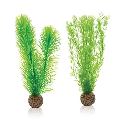 Afbeelding van Mannetjesvaren set klein groen biOrb