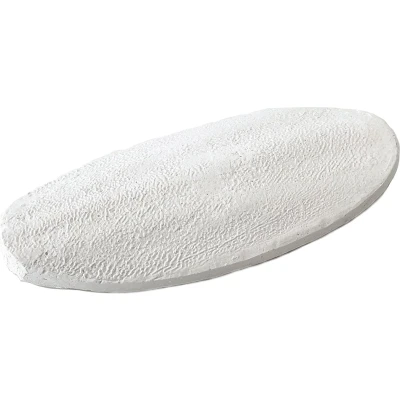Afbeelding van Terra Della Reptielenvoer Reptielen Calcium Bone Sepia 2st 11cm Wit