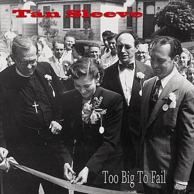 Afbeelding van Tan Sleeve Too Big To Fail (CD)