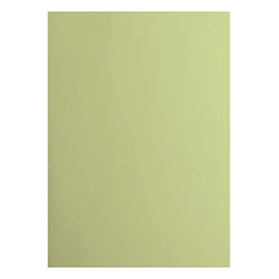 Afbeelding van Karton Cardstock Gladde Afwerking A4 anise Beige 216 grams Florence 10 vellen