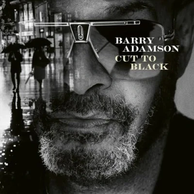 Afbeelding van Barry Adamson Cut To Black (LP)