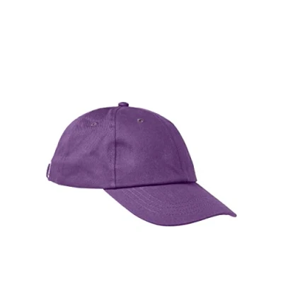Afbeelding van JACK &amp; JONES Dames Jjxx Jxbasic Small logo Baseball Cap Noos Honkbalpet, Royal Lilac/Detail:/Klein op de zijkant, Eén maat