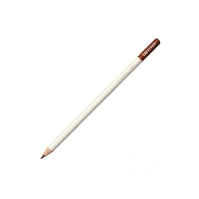 Afbeelding van Tombow Irojiten kleurpotlood d 3 autumn leaf