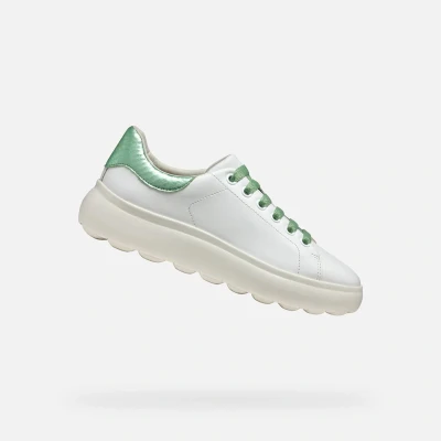Afbeelding van Geox Spherica Sneakers laag, Dames, Maat: 41, White mint Leer