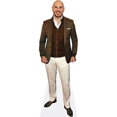 Afbeelding van Pitbull (Brown Jacket) Levensgrote Knipsels