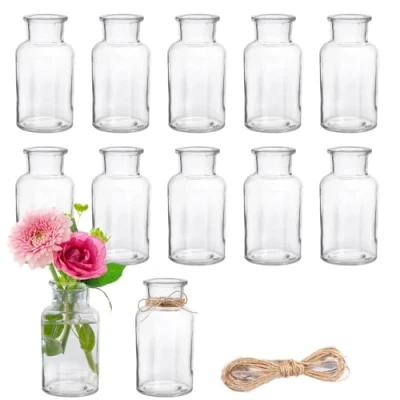 Afbeelding van 12 stuks glazen mini vazen, 250 ml kleine vazen met jute koord, bloemenvazen, tafelvazen, decoratieve flessen, flesjes voor tafeldecoratie, middenstukken, bruiloftsdecoraties