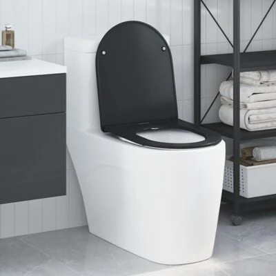 Afbeelding van vidaXL Quick Release Toiletseat met Soft Close Duroplast Zwart
