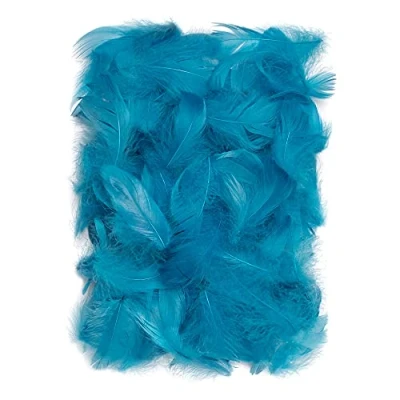 Afbeelding van Netuno 150 stuks turquoise decoratieve veren, 10 g pluisveren, sieradenveren, vogelveren, knutselveren, natuur, voor doe het zelf knutselen, decoratie, Pasen, Kerstmis, decoratiefiguur