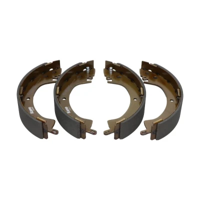 Afbeelding van Kavo Parts Remschoen set KBS 6408
