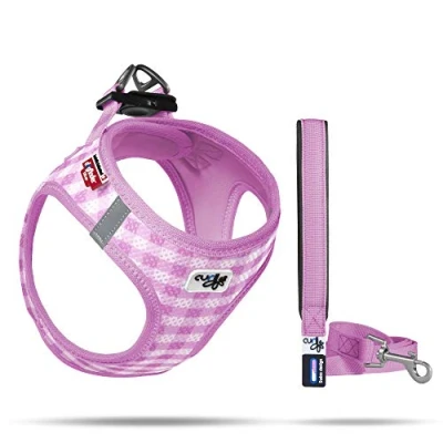 Afbeelding van Puppy Set Harnas + Riem