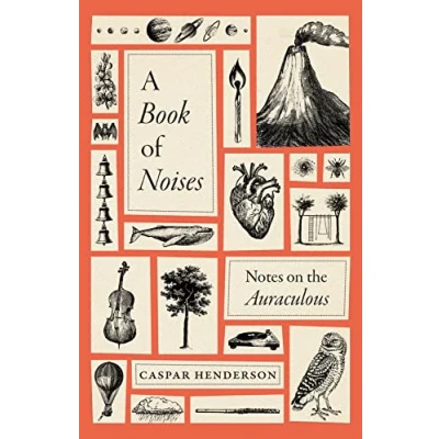 Afbeelding van A Book of Noises: Notes on the Auraculous
