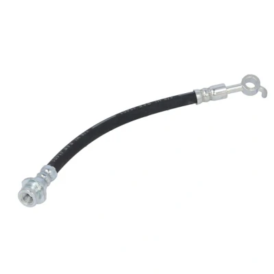Afbeelding van Delphi Diesel Remslang LH6849