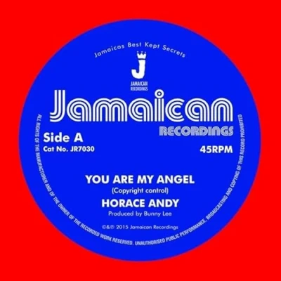 Afbeelding van Horace Andy You Are My Angel / Version (Single)