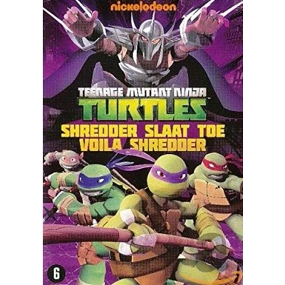 Afbeelding van Teenage Mutant Ninja Turtles Shredder slaat toe
