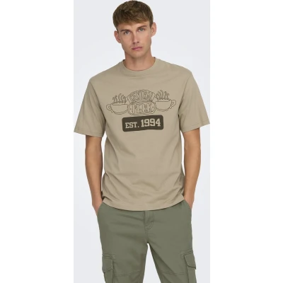 Afbeelding van ONLY&amp;SONS ONSFRIENDS RLX SS TEE Heren T shirts