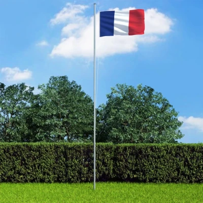 Afbeelding van Vlag Frankrijk 90x150 cm
