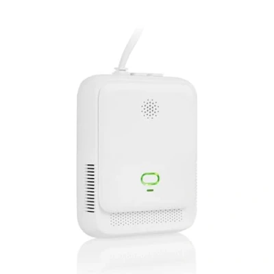 Afbeelding van Smartwares Gasmelder Met Adapter