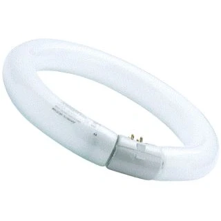 Afbeelding van Sylvania circline tl t9 22w 865 6500k g10q 0001962