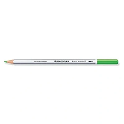 Afbeelding van Staedtler 125 52 karaat aquarel kleurstift, wateroplosbaar, 6 stuks in kartonnen etui, sapgroen