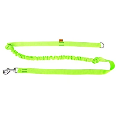 Afbeelding van Dingo Universal Shock Absorber Canicross Leash met 2 haken voor hardlopen, joggen, trainen Sport hond, Schokdemper, Groen