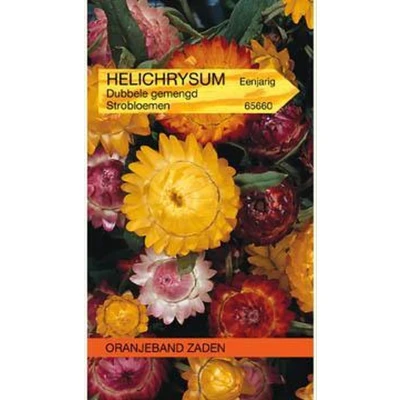 Afbeelding van Helichrysum, Strobloem dubbelbloemig gemengd