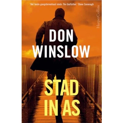 Afbeelding van Stad in as (Paperback)