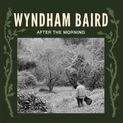Afbeelding van Wyndham Baird After the Morning (LP)