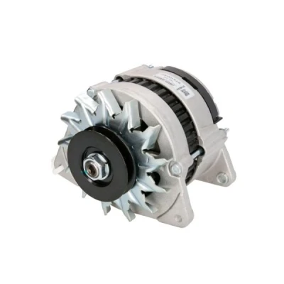 Afbeelding van Stardax Alternator/Dynamo STX100302