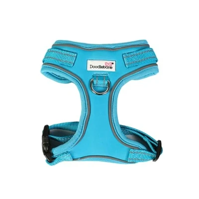 Afbeelding van Verstelbare Airmesh, Aqua, 4 7