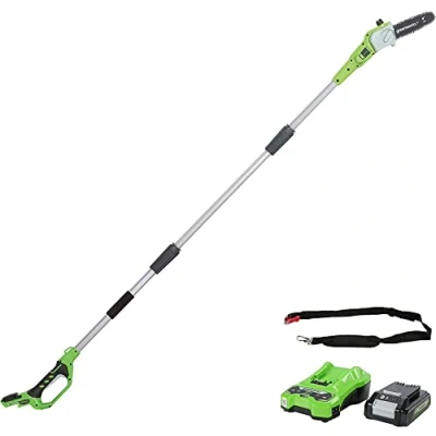 Afbeelding van Greenworks Takkenzaag 24 Volt Met 2.0 Ah Accu En Lader