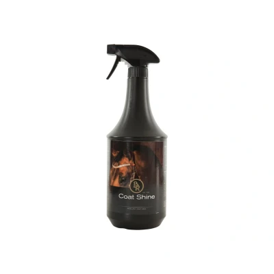 Afbeelding van BR Glansspray 1000 ml 1 l Naturel