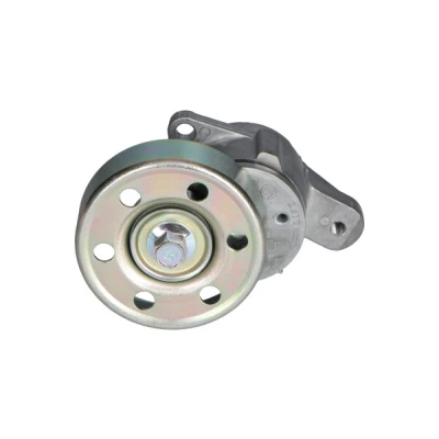 Afbeelding van Kavo Parts Spanrol (poly) V riem DTP 9008