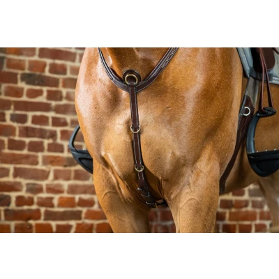 Afbeelding van Dyon Borsttuig Bridge Bruin Pony