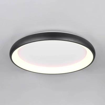 Afbeelding van Trio Led plafondlamp Cardona zwart Ø 75cm 649617532