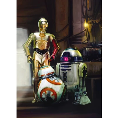 Afbeelding van Komar Fotobehang Star Wars Three Droids (set)