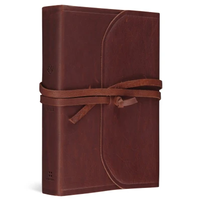 Afbeelding van ESV Student Study Bible: English Standard Version, Brown, Flap With Strap, Bible