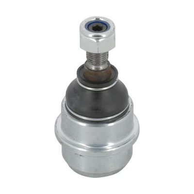 Afbeelding van Moog Fuseekogel RO BJ 0773