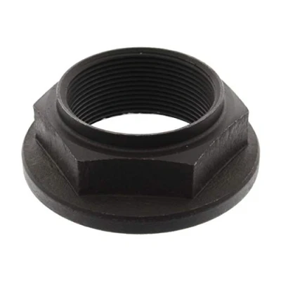 Afbeelding van Febi Bilstein moer / Twaalfkant vlakke 03768