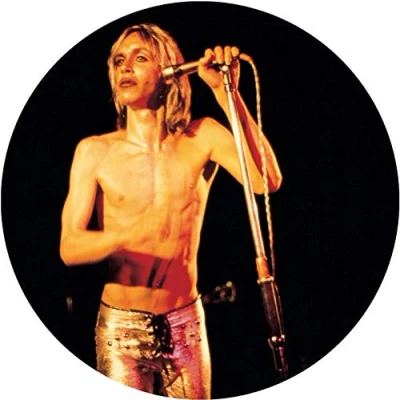 Afbeelding van Iggy &amp; the Stooges More Power (2 LPs)