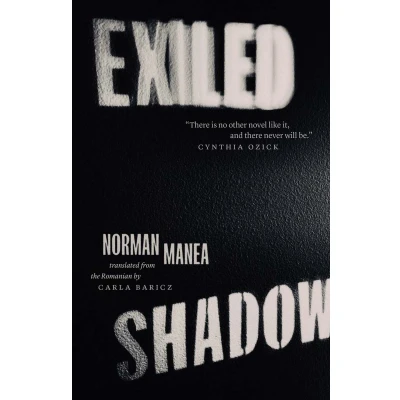Afbeelding van Exiled Shadow: A Novel in Collage