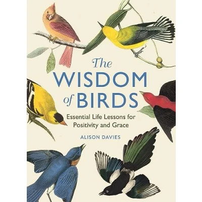 Afbeelding van The Wisdom of Birds: Essential Life Lessons for Positivity and Grace