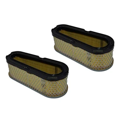 Afbeelding van 2 x luchtfilter voor Briggs &amp; Stratton/B&amp;S motor 493910 691667 10 15 pk