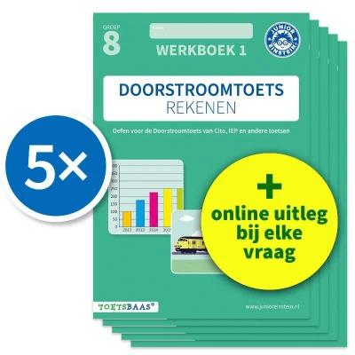 Afbeelding van Doorstroomtoets Rekenen Werkboek 1 + Online video uitleg (set van 5)