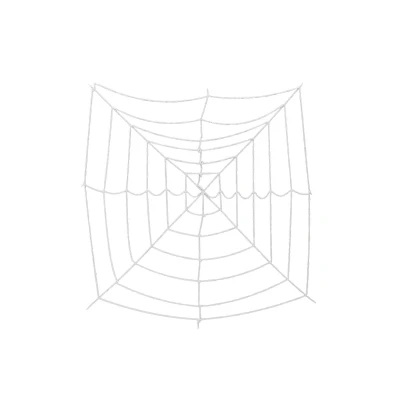 Afbeelding van Europalms Halloween versiering, Spinweb, 180x180cm decoratie accessoires feesten