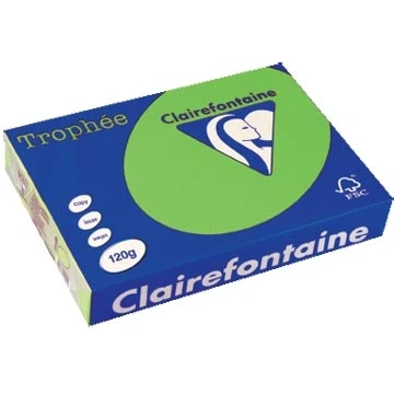 Afbeelding van Clairefontaine Trophée Intens, gekleurd papier, A4, 120 g, 250 vel, grasgroen papier